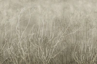 Sea Fans - Bisque behang