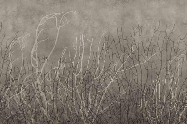 Sea Fans - Greige