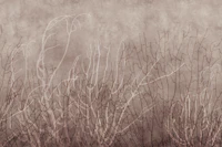 Sea Fans - Mauve Plum behang