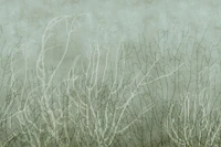 Sea Fans - Pool behang