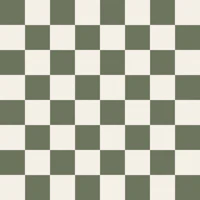 Modern Farmhouse Sage Checks tapete