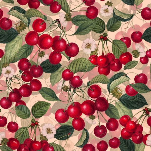 Sweet Cherry VI