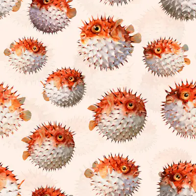 Pattern