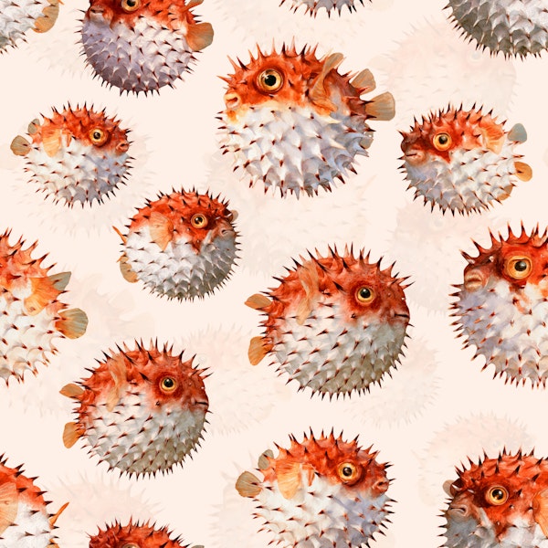 Porcupine The Fish