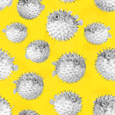 Pattern