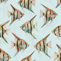 Origon The Fish wallpaper
