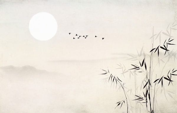Minimalist Nature View