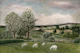 English countryside landscape with sheep