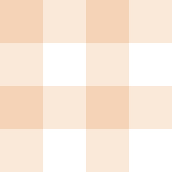 Salmon light gingham large