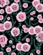 Night Beauty Rose Eucalyptus 1