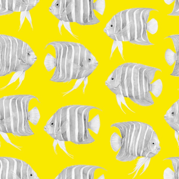 Karli The Fish 01