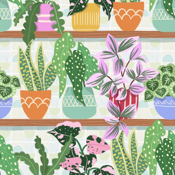 Colorful Potted Plants Wall