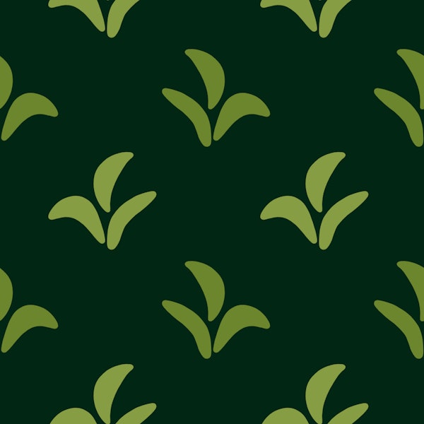 Indian Wheat Grass green