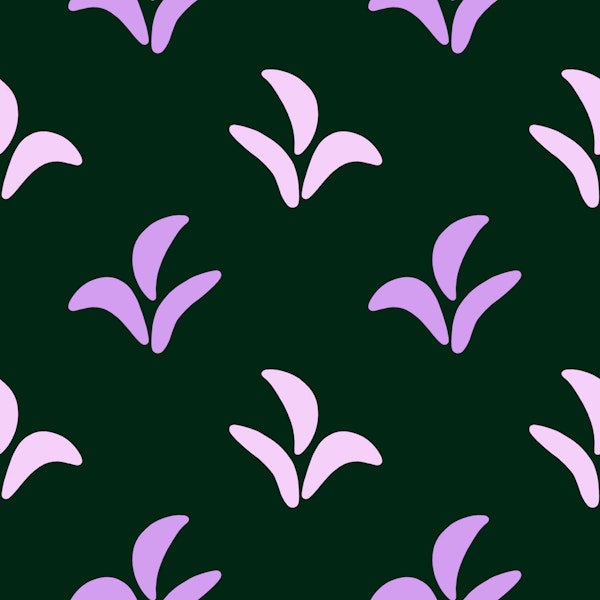 Indian Wheat Grass violet