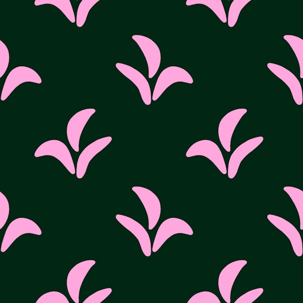 Indian Wheat Grass pink green