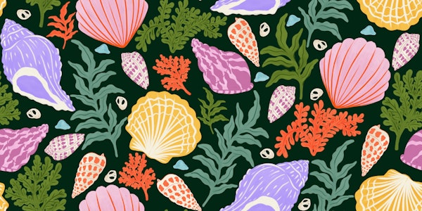 Tropical Coral and Shell Scatter