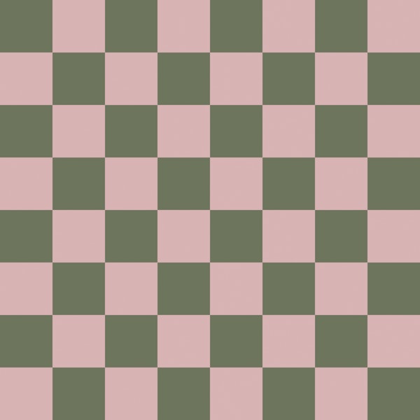 Sage and Pink Retro Checks
