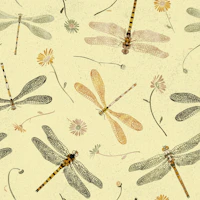 Damselflies and Dragonglies wallpaper