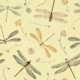 Damselflies and Dragonglies