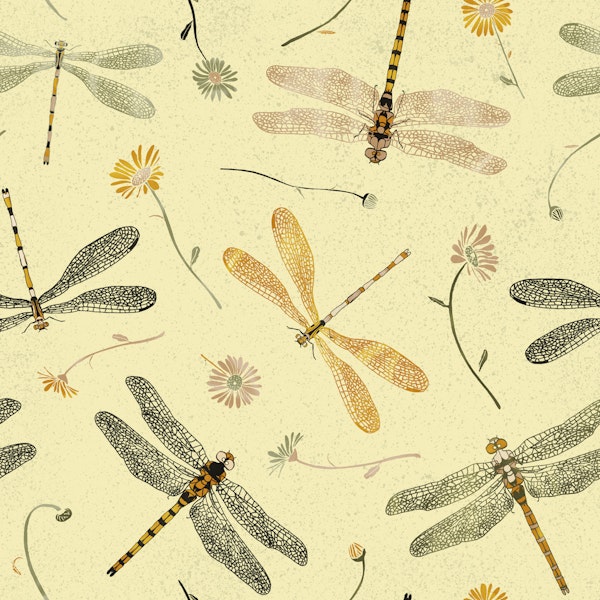 Damselflies and Dragonglies