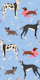 Stylish Dogs