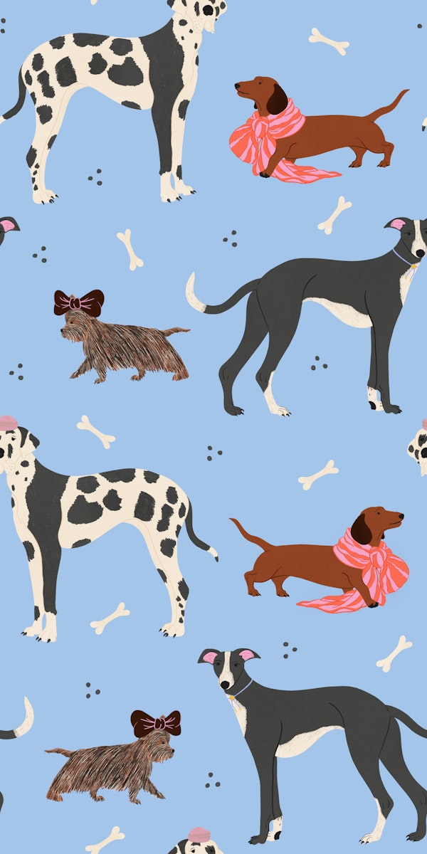 Stylish Dogs