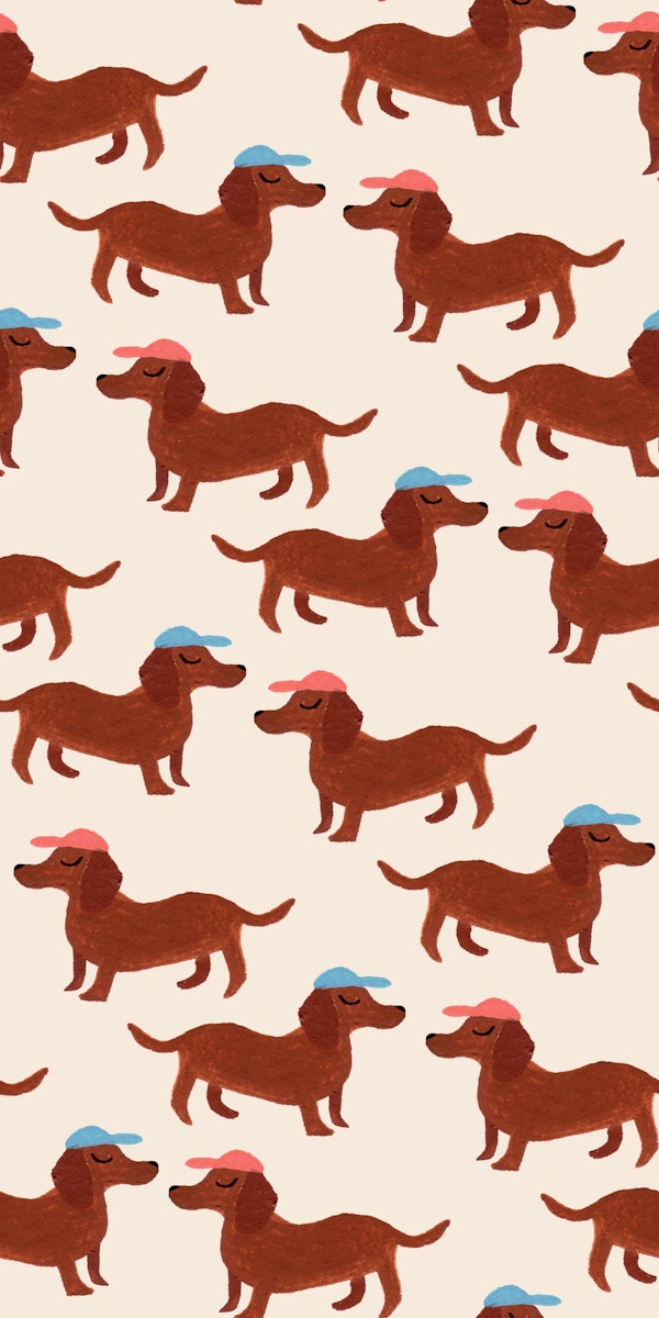 Dachshunds with hats pattern