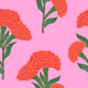 Indian Carnation Bloom orange