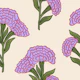 Indian Carnation Bloom lilac