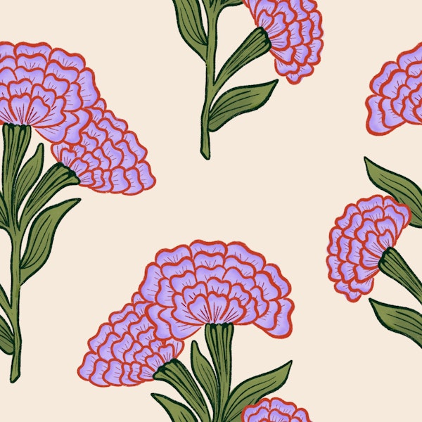 Indian Carnation Bloom lilac