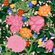 Bold Boho Floral Garden