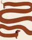 Wavy Sausage Dog Minimal