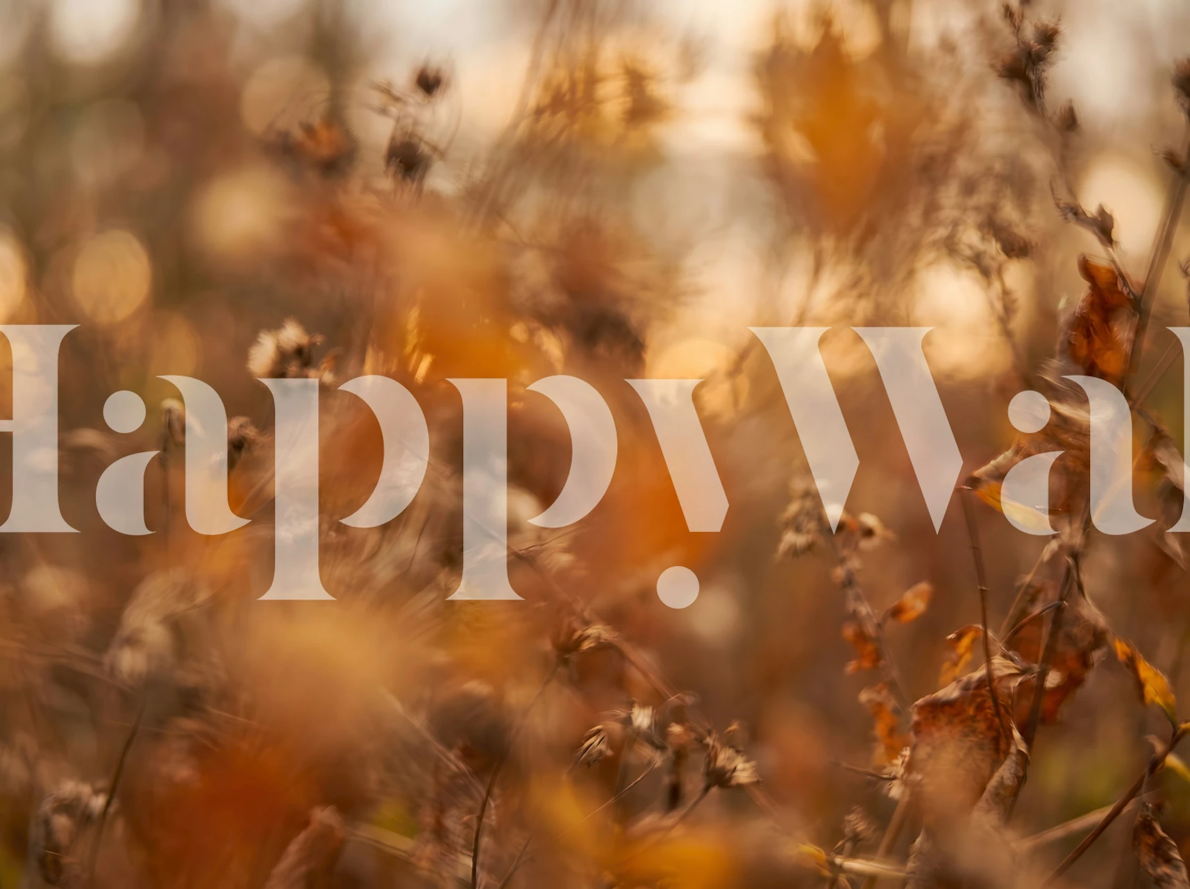 fotobehang met herfstweide in bokeh in een gezellige kamer