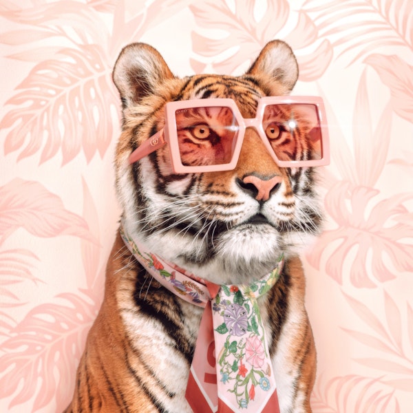 Fashion Tiger