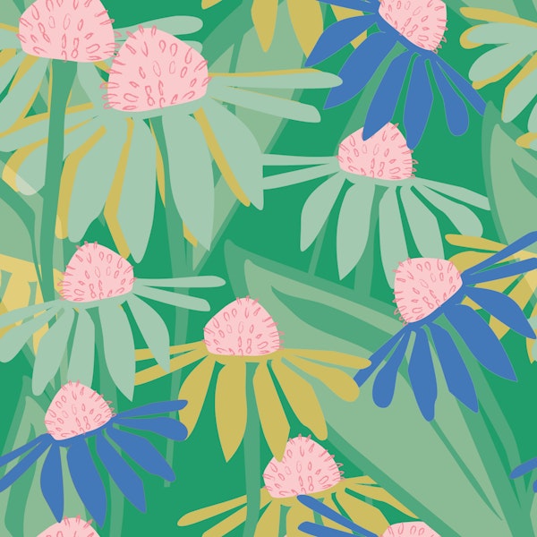 Bright Green Coneflower