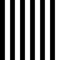 Graphic Black White Stripe Chic behang
