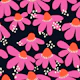 Hot Pink Coneflowers on Moody Midnight