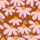 Coneflower Garden in Terracotta Sunset