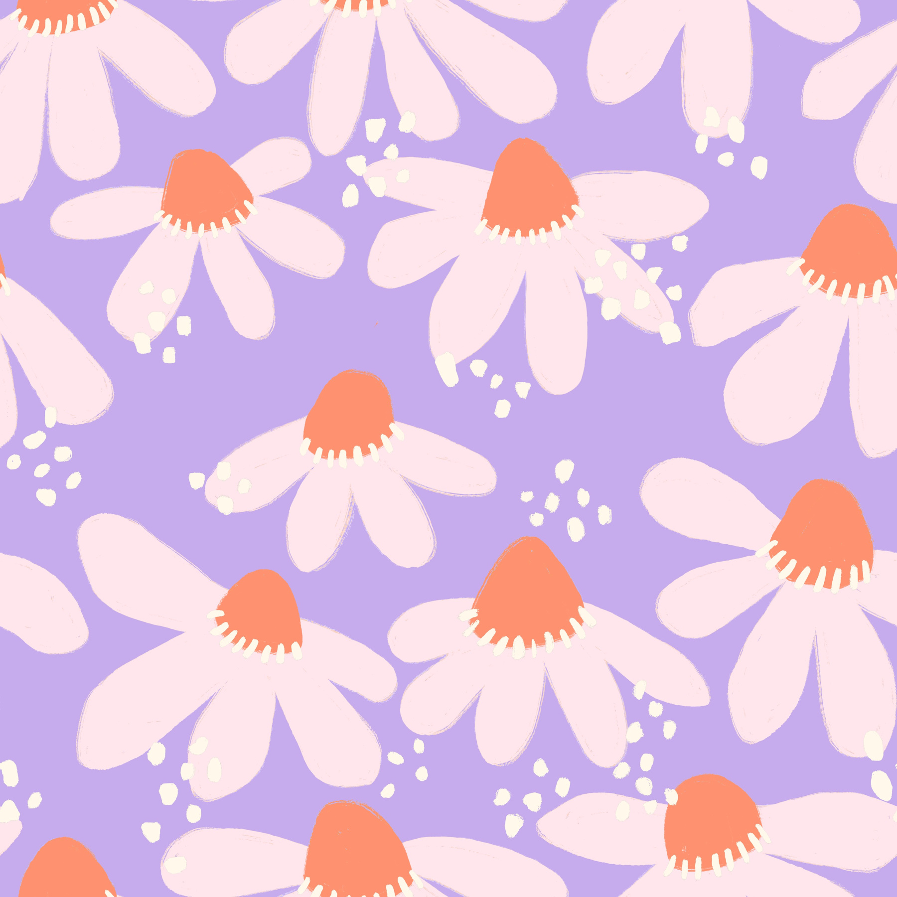 coneflower