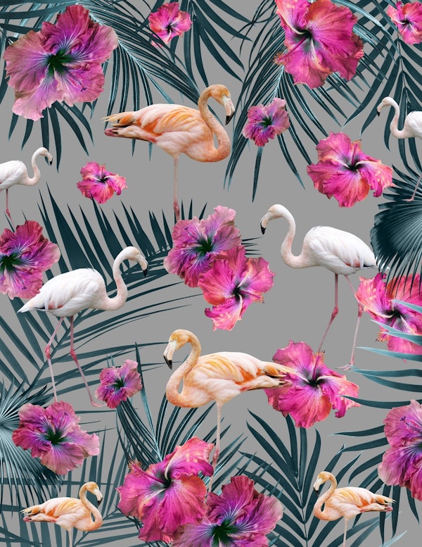 Flamingo Jungle Siesta 1