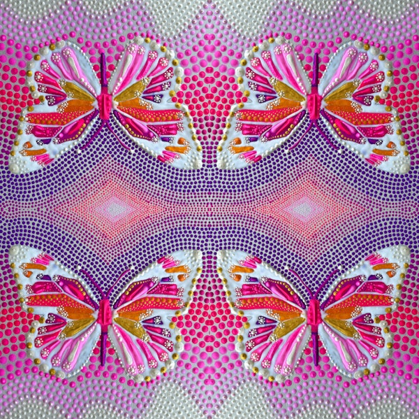 Butterfly Beauty