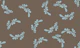 Minimal Leaf Mocca