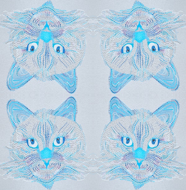 Frosted Silver Blue Kittens