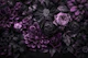 Nocturnal Botanica Baroque Flowers Plum