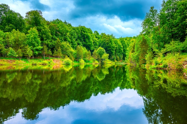 Serene Nature Lake Landscape