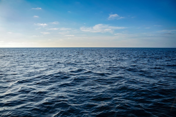 Vibrant Seascape Dreams