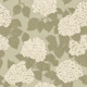 Sage Green Hydrangea Blooms