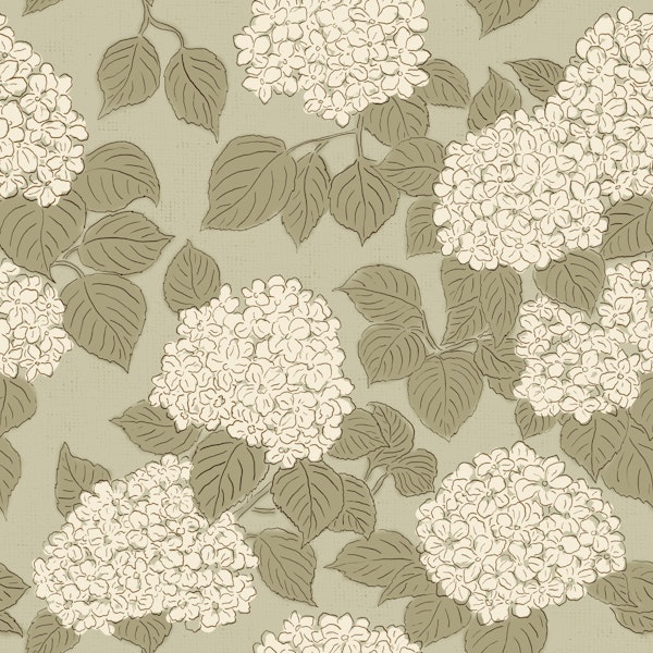 Sage Green Hydrangea Blooms
