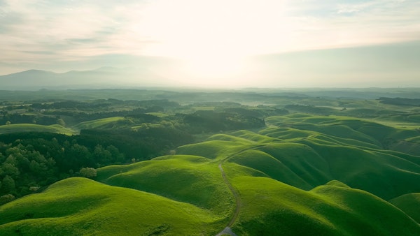Rolling Fields