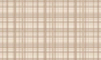 Modern western stripes tapete